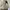 Skechers Sportswear Sneakers Pria white black photo 7