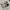 Skechers Sportswear Sneakers Pria white black photo 1