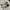 Skechers Sportswear Sneakers Pria White Black