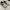 Skechers Sportswear Sneakers Pria white black photo 2