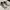 Skechers Sportswear Sneakers Pria White Black