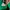 Minimalist Short Kids green photo 3