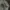 K-Swiss Streetwear Sportswear Jersey Pria white photo 5