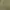 LANVIN Luxury Sportswear Polo shirt Pria yellow photo 3
