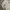 Fila Streetwear Sportswear Windbreaker Pria white photo 3