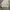 Fila Streetwear Sportswear Windbreaker Pria white photo 6
