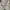Fila Streetwear Sportswear Windbreaker Pria white photo 2