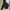 Nike Streetwear Sportswear Windbreaker Pria black photo 1