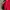 Adidas Streetwear Sportswear Windbreaker Pria red photo 4