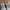 Asics Streetwear Sportswear Sneakers Pria tan brown photo 4