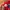 Adidas Streetwear Sneakers Pria white red photo 7