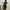 Kinloch Anderson Luxury Futurist Blazer Wanita gray photo 5