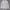 Kinloch Anderson Luxury Futurist Blazer Wanita Gray