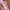 Puma Streetwear Sneakers Wanita pink photo 2