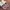 Adidas Vintage Streetwear Sneakers Pria pink photo 4