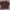 H&M Casual Sweater Wanita Burgundy