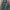 Vintage Harrington jacket Pria green photo 1