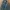 Vintage Harrington Jacket Pria Green