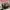 Supreme Luxury Skater Hat Pria pink photo 5