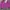 NEPA Vintage Sportswear Windbreaker Pria pink yellow photo 1