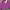 NEPA Vintage Sportswear Windbreaker Pria Pink Yellow