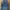 Global Work Casual Denim jacket Wanita navy photo 1