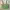 Charles and Keith Minimalist Shoulder bag Wanita green photo 3