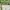 Charles and Keith Minimalist Shoulder bag Wanita green photo 1