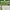 Charles And Keith Minimalist Shoulder Bag Wanita Green
