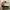 Charles and Keith Minimalist Shoulder bag Wanita green photo 4