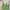Charles and Keith Minimalist Shoulder bag Wanita green photo 2