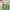 Charles And Keith Minimalist Shoulder Bag Wanita Green