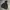 Streetwear Casual Parka Pria black photo 4