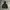 Streetwear Casual Parka Pria black photo 1