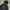 Streetwear Casual Parka Pria black photo 2