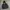 Streetwear Casual Parka Pria black photo 5