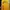 American Eagle Streetwear Sportswear Hoody Pria Yellow