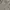 Polo Ralph Lauren Vintage Casual Hoody Pria Gray