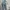 Guess Grunge Jeans Pria blue photo 5