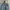 Guess Grunge Jeans Pria blue photo 4