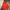 New Balance Casual Windbreaker Pria Red