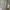 VANS Vintage Streetwear T-shirt Pria white photo 4