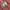 Sanrio Lolita Cosplay Hat Wanita pink photo 3