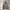 Casual Hoody Pria tan photo 1