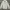 H&M Casual Sweatshirt Wanita white photo 1