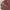 Japanese brand Vintage Y2K Track jacket Pria brown photo 4