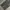 Alpha Industries Vintage Streetwear Pria green photo 8