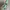 Luxury Wanita green photo 1