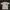 Stussy Luxury T-shirt Pria White