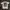 Stussy Luxury T-shirt Pria white photo 2